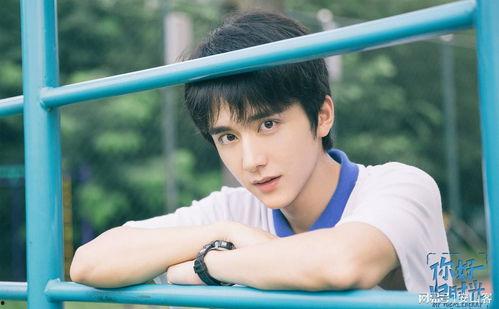 张新个人资料简介,才华横溢的青年才俊，多领域杰出贡献者