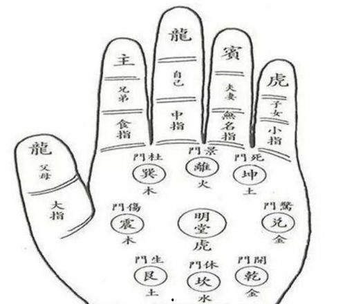 八卦手黑完整,揭秘神秘力量背后的传奇故事