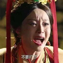 孙俪刘涛表情包,演绎欢乐时光，捕捉生活瞬间