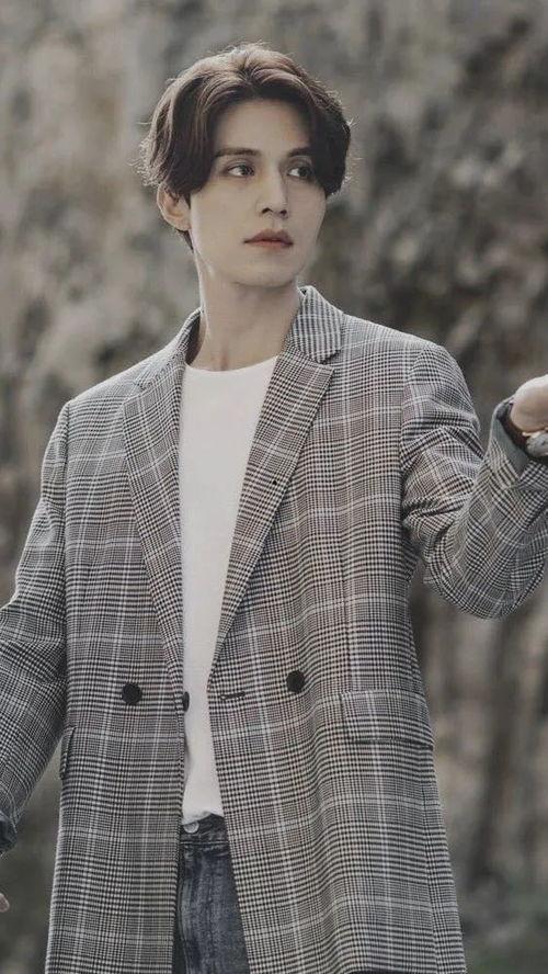 李栋旭照片,演绎时尚与优雅的完美融合